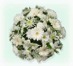 White Posy