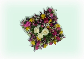 Spring Cushion