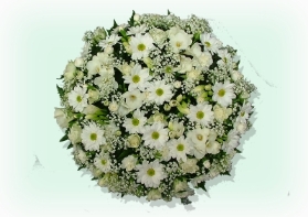 Lage Posy  White