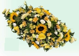 Double Ended Display   Yellow and Cream